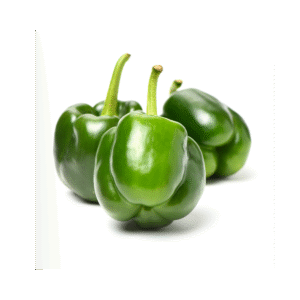 Capsicum
